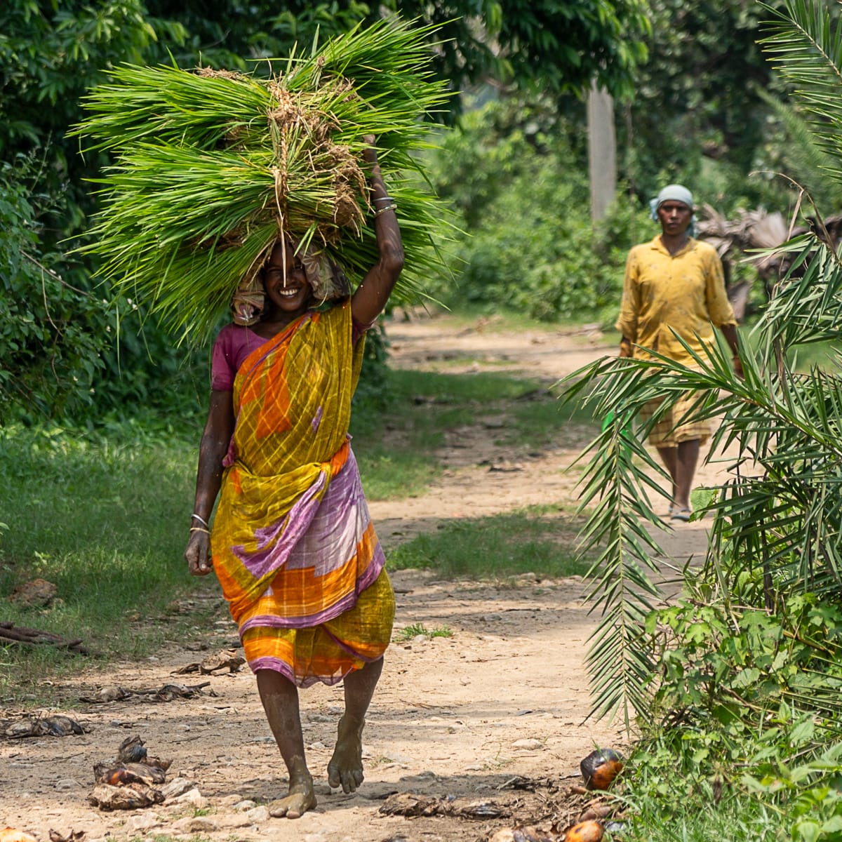 The Vulnerability of Environmental Actions for The Vulnerable Population